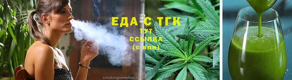 индика Арсеньев