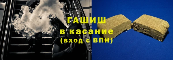 индика Арсеньев