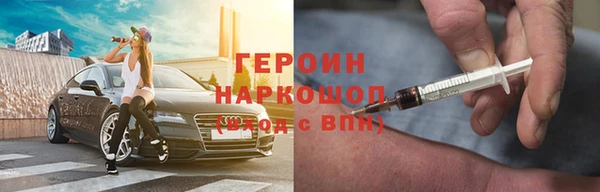 индика Арсеньев