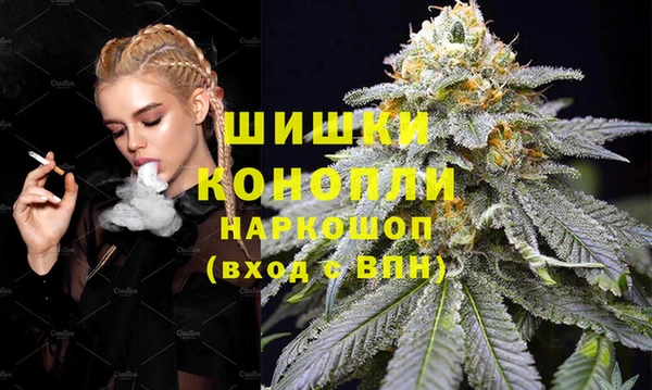 шишки Армянск