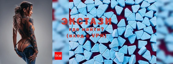 индика Арсеньев